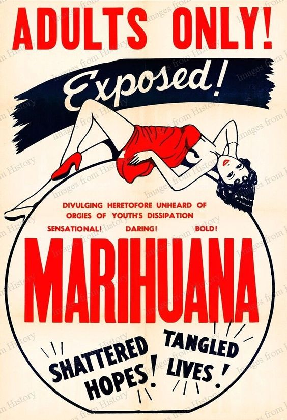 ambr Cannabis reference