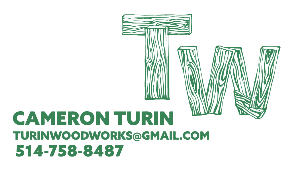 turin business card